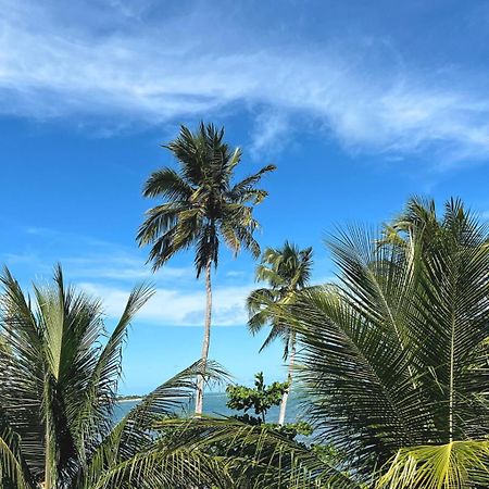 Suites Ventos E Velas Praia Pôrto de Pedras Екстериор снимка